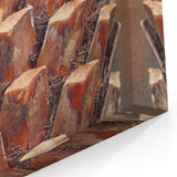 Close-Up Palm Tree Bark Wall Art | Tree Canvas Prints for Home Decor