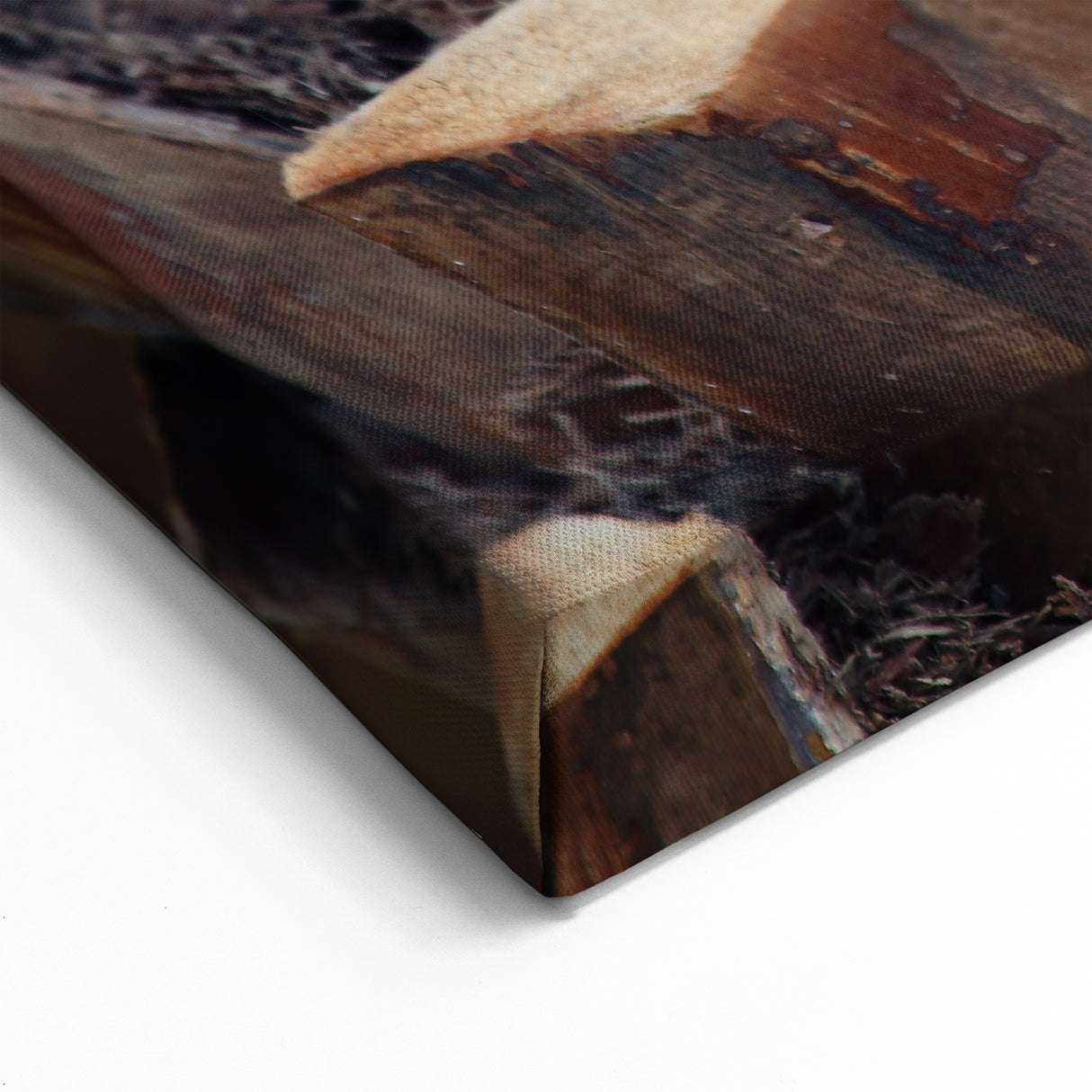 Close-Up Palm Tree Bark Wall Art | Tree Canvas Prints for Home Decor