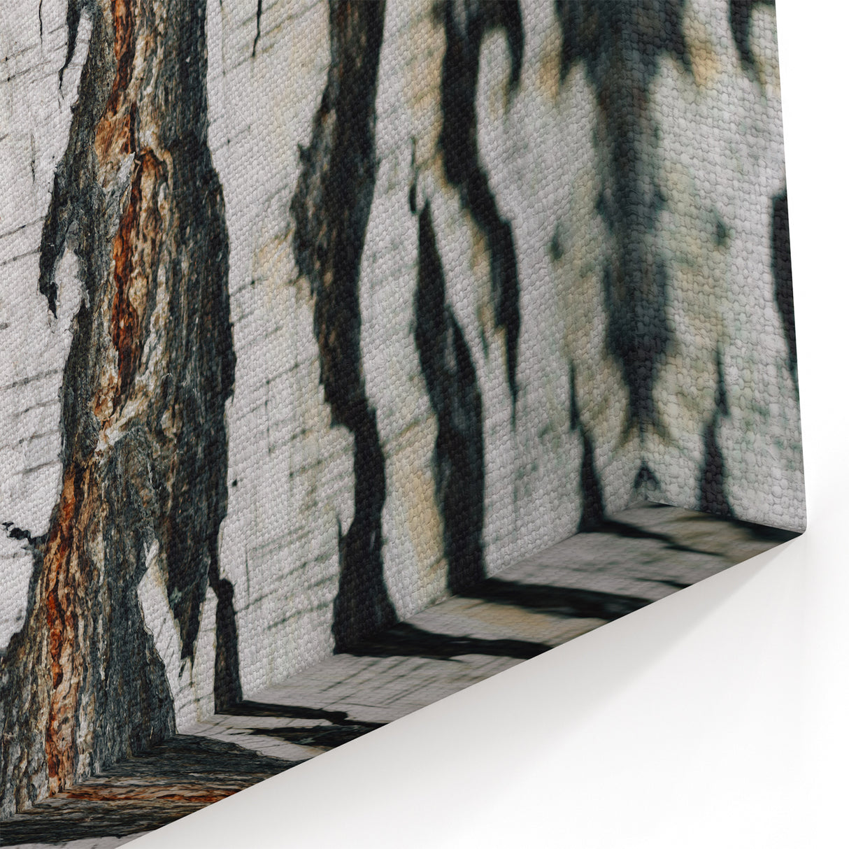 Bark Texture Close-Up Wall Art | Tree Canvas Prints for Modern Decor