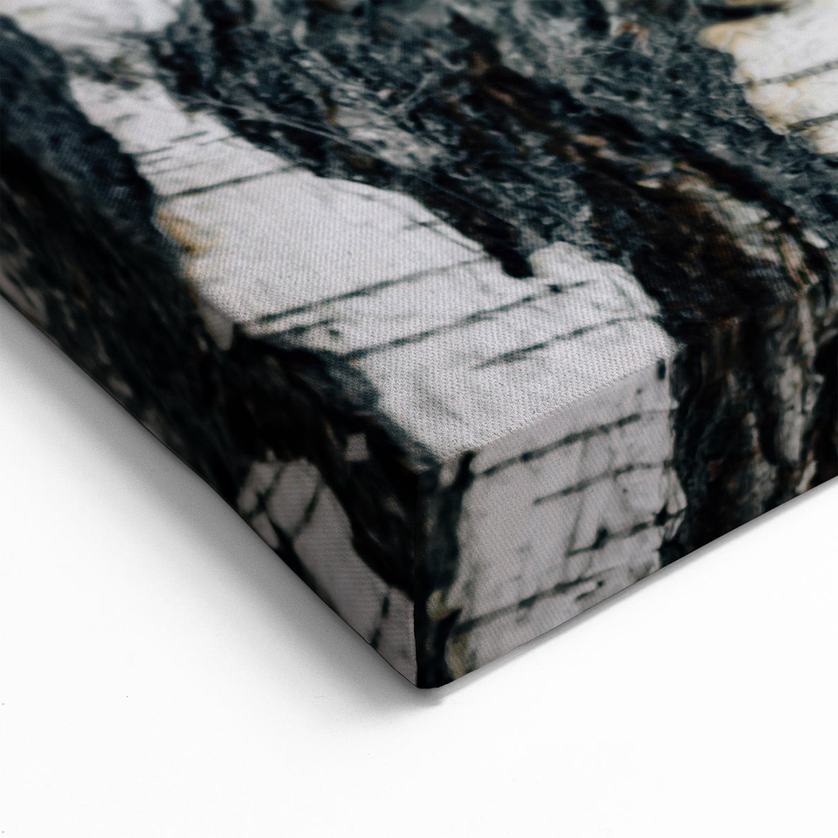 Bark Texture Close-Up Wall Art | Tree Canvas Prints for Modern Decor