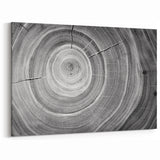 Black and White Tree Ring Wall Art | Nature Canvas Prints for Home Decor