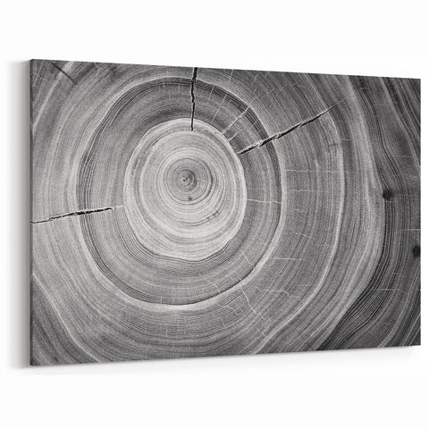 Black and White Tree Ring Wall Art | Nature Canvas Prints for Home Decor
