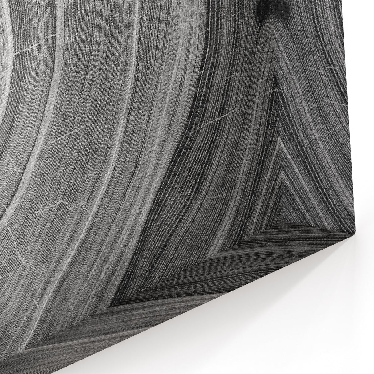 Black and White Tree Ring Wall Art | Nature Canvas Prints for Home Decor