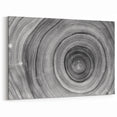Monochrome Tree Ring Wall Art | Minimalist Canvas Prints for Home Decor
