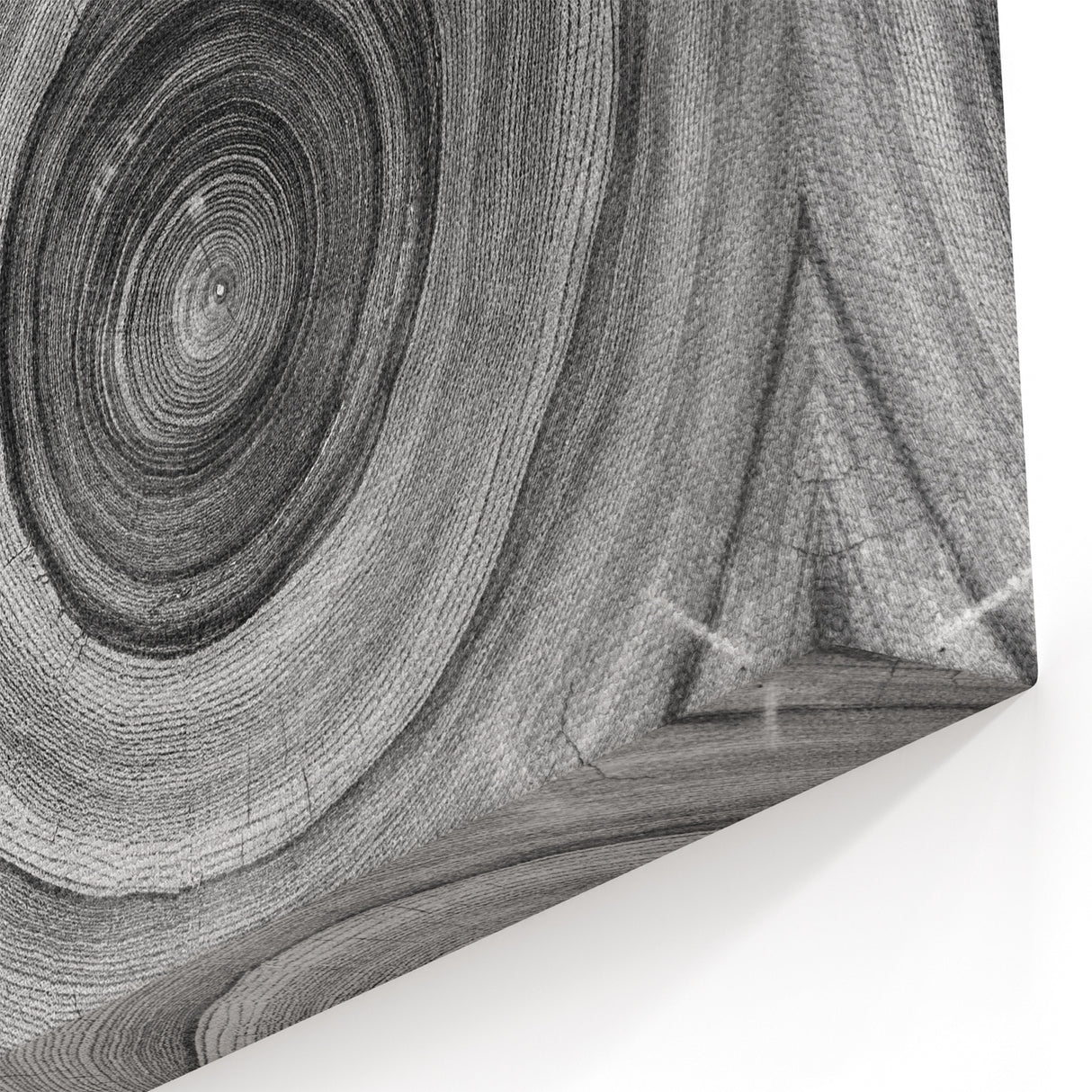 Monochrome Tree Ring Wall Art | Minimalist Canvas Prints for Home Decor