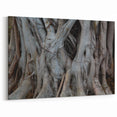 Tree Root Texture Wall Art | Nature Canvas Prints for Modern Home Decor