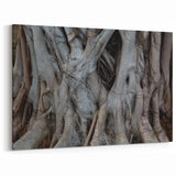 Tree Root Texture Wall Art | Nature Canvas Prints for Modern Home Decor