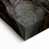 Tree Root Texture Wall Art | Nature Canvas Prints for Modern Home Decor