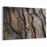 Close-Up Tree Bark Texture Wall Art | Nature Canvas Prints for Home Decor