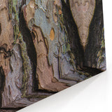 Close-Up Tree Bark Texture Wall Art | Nature Canvas Prints for Home Decor
