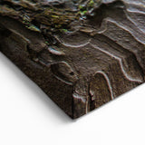 Close-Up Tree Bark Texture Wall Art | Nature Canvas Prints for Home Decor