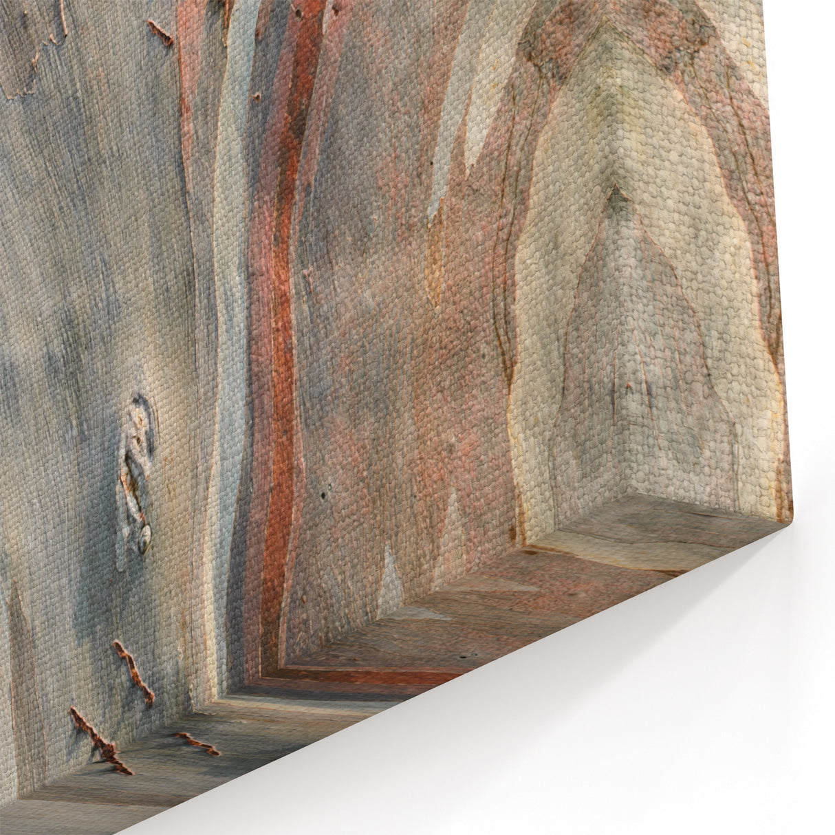 Abstract Tree Bark Wall Art | Nature Canvas Prints for Modern Decor