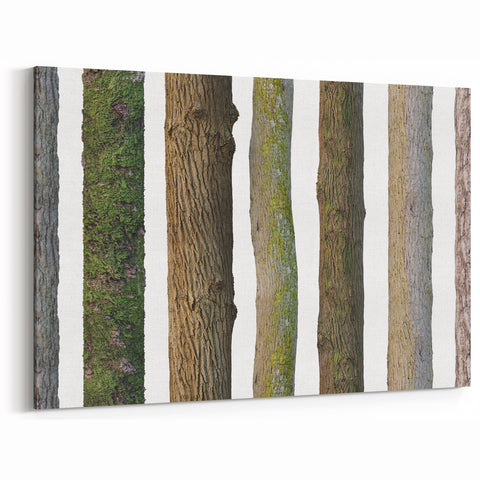 Tree Trunk Textures Wall Art | Nature Canvas Prints for Modern Decor