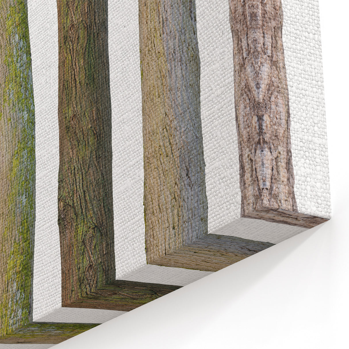 Tree Trunk Textures Wall Art | Nature Canvas Prints for Modern Decor