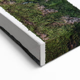 Tree Trunk Textures Wall Art | Nature Canvas Prints for Modern Decor