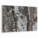 Textured Birch Tree Bark Wall Art | Nature Canvas Prints for Home Decor