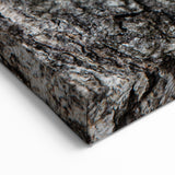 Textured Birch Tree Bark Wall Art | Nature Canvas Prints for Home Decor