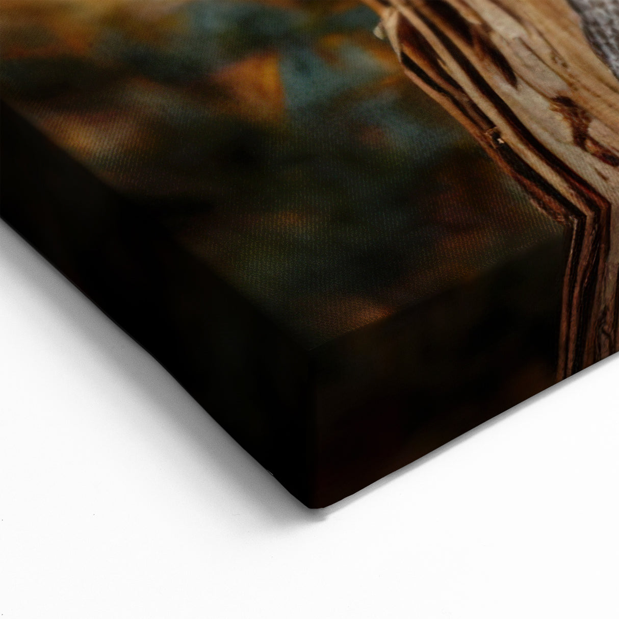 Abstract Tree Bark Wall Art | Rustic Nature Canvas Prints for Home Decor