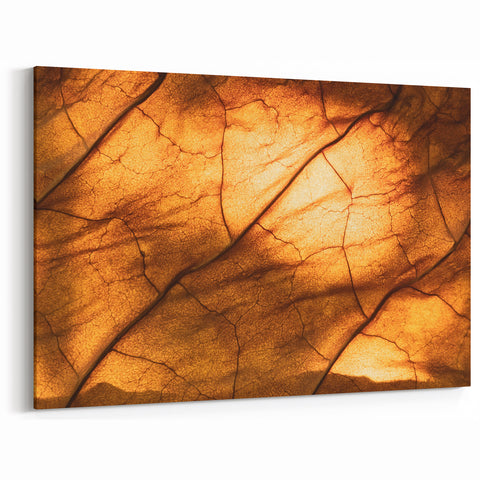 Botanical Leaf Art: Autumn Leaf Wall Decor for Nature-Inspired Homes