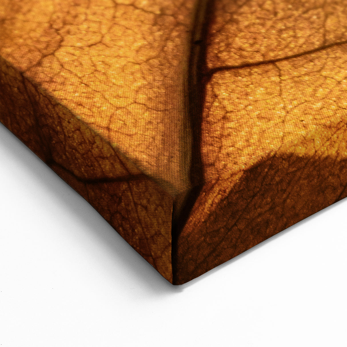 Botanical Leaf Art: Autumn Leaf Wall Decor for Nature-Inspired Homes