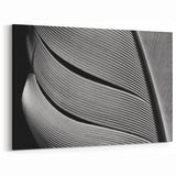 Modern Monochrome Leaf Wall Art: Black and White Leaf Photography