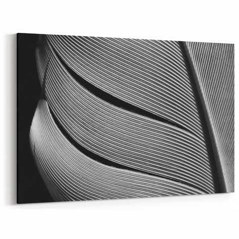 Modern Monochrome Leaf Wall Art: Black and White Leaf Photography