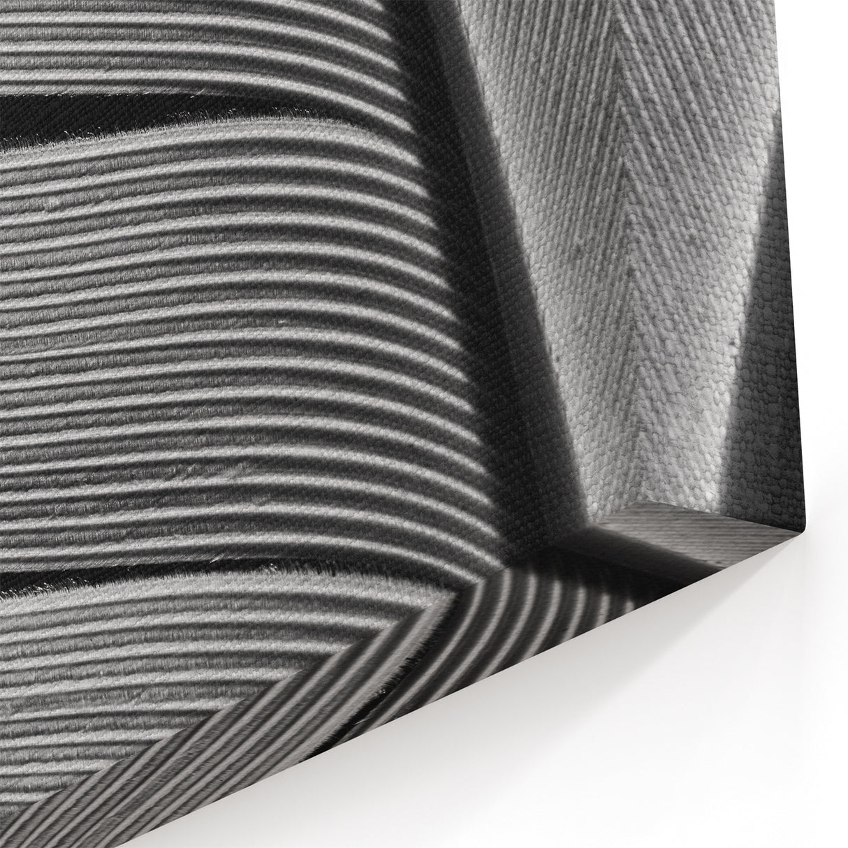 Modern Monochrome Leaf Wall Art: Black and White Leaf Photography