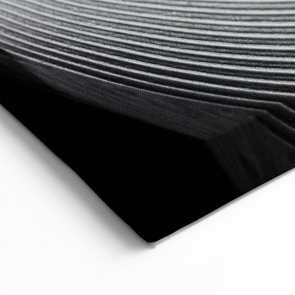 Modern Monochrome Leaf Wall Art: Black and White Leaf Photography