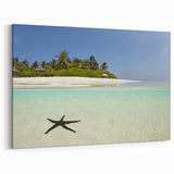 Caribbean Scenery Art - Starfish on Tropical Beach