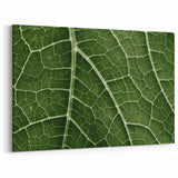 Leaf Wall Art: Green Botanical Leaf Photography for Nature-Inspired Decor