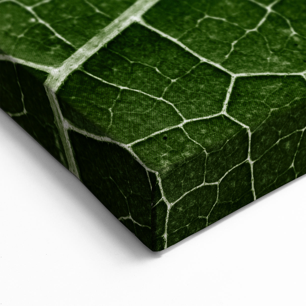 Leaf Wall Art: Green Botanical Leaf Photography for Nature-Inspired Decor