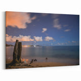 French Caribbean Art - Night Beach with Driftwood