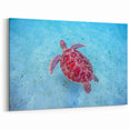 Exotic Beach Art - Sea Turtle in Caribbean Waters