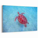 Exotic Beach Art - Sea Turtle in Caribbean Waters