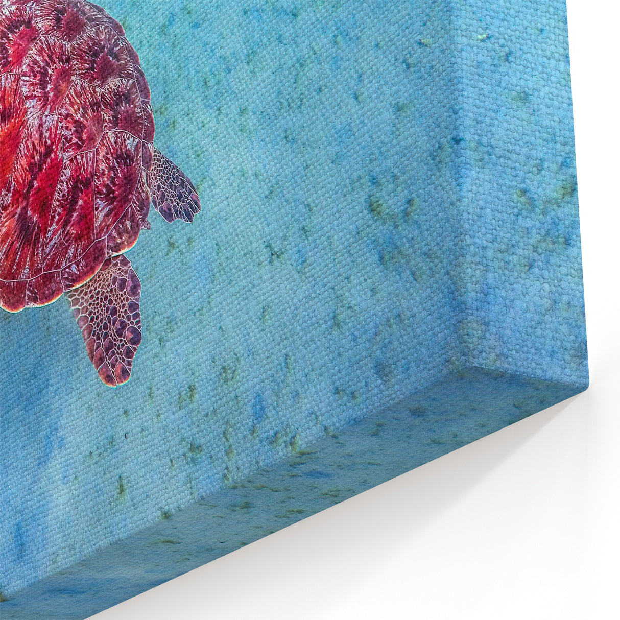 Exotic Beach Art - Sea Turtle in Caribbean Waters