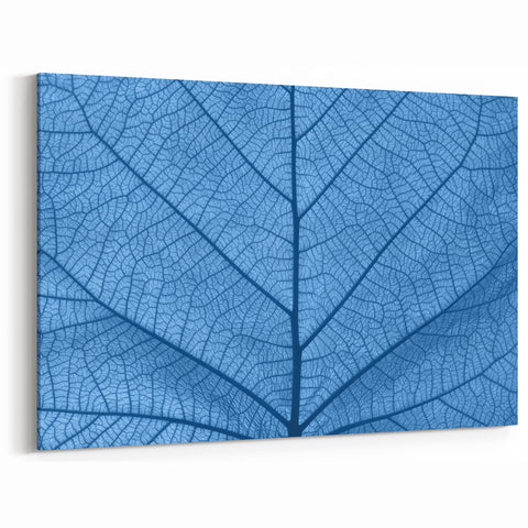 Leaf Wall Art: Detailed Blue Leaf Photography for Contemporary Decor