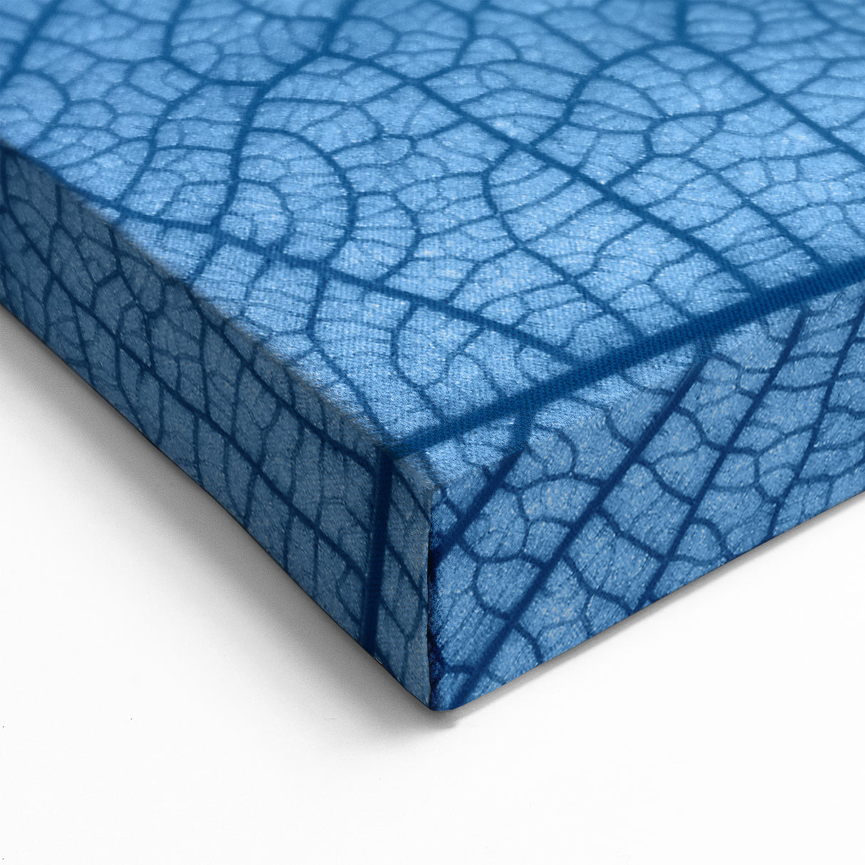 Leaf Wall Art: Detailed Blue Leaf Photography for Contemporary Decor