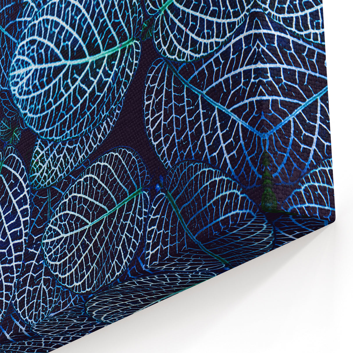 Blue Leaf Photography Art: Nature-Inspired Wall Decor for Modern Homes
