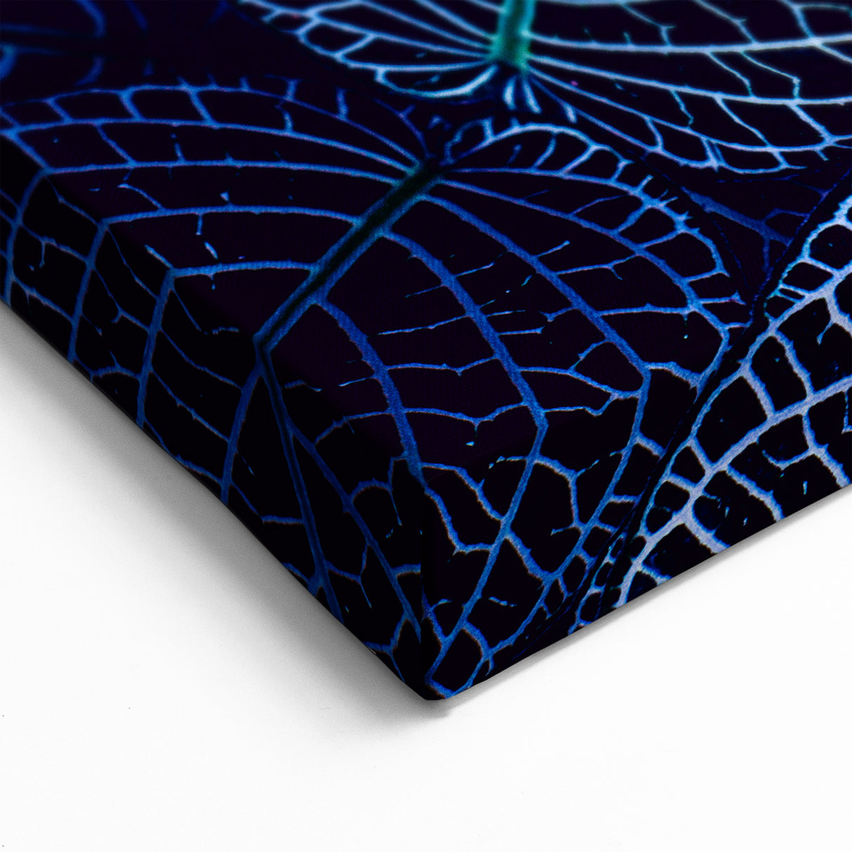 Blue Leaf Photography Art: Nature-Inspired Wall Decor for Modern Homes