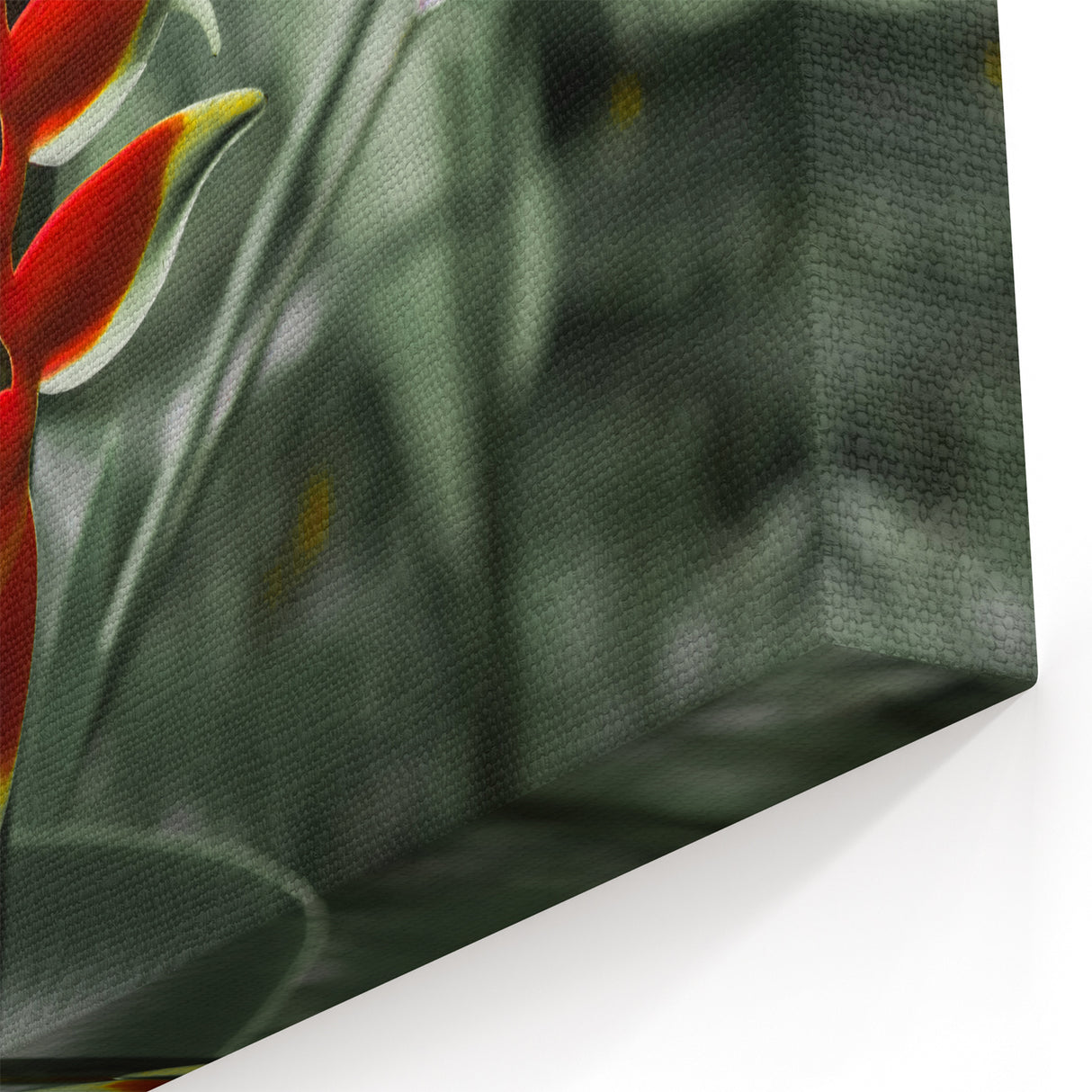 Martinique Canvas Prints - Exotic Caribbean Flower Art for Home Decor