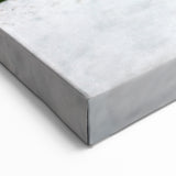 French Caribbean Art - Vibrant Martinique Caterpillar Exotic Wall Print