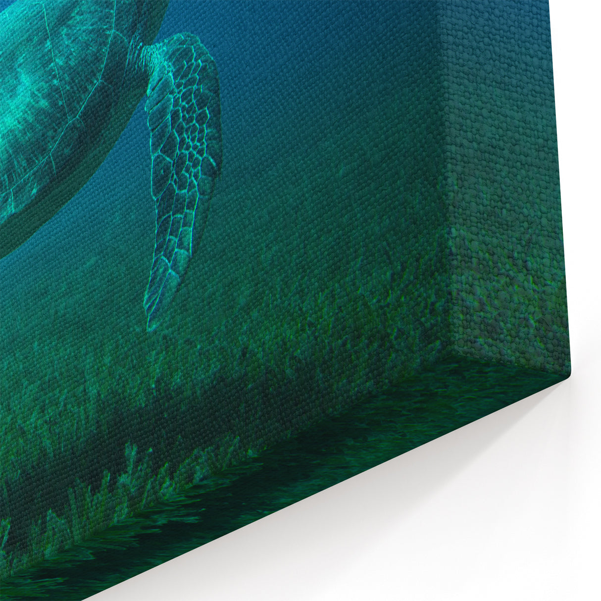 Martinique Acrylic Art - Tranquil Sea Turtle Caribbean Island Decor