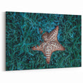 Tropical Island Art - Caribbean Starfish Print from Martinique Waters