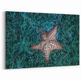 Tropical Island Art - Caribbean Starfish Print from Martinique Waters