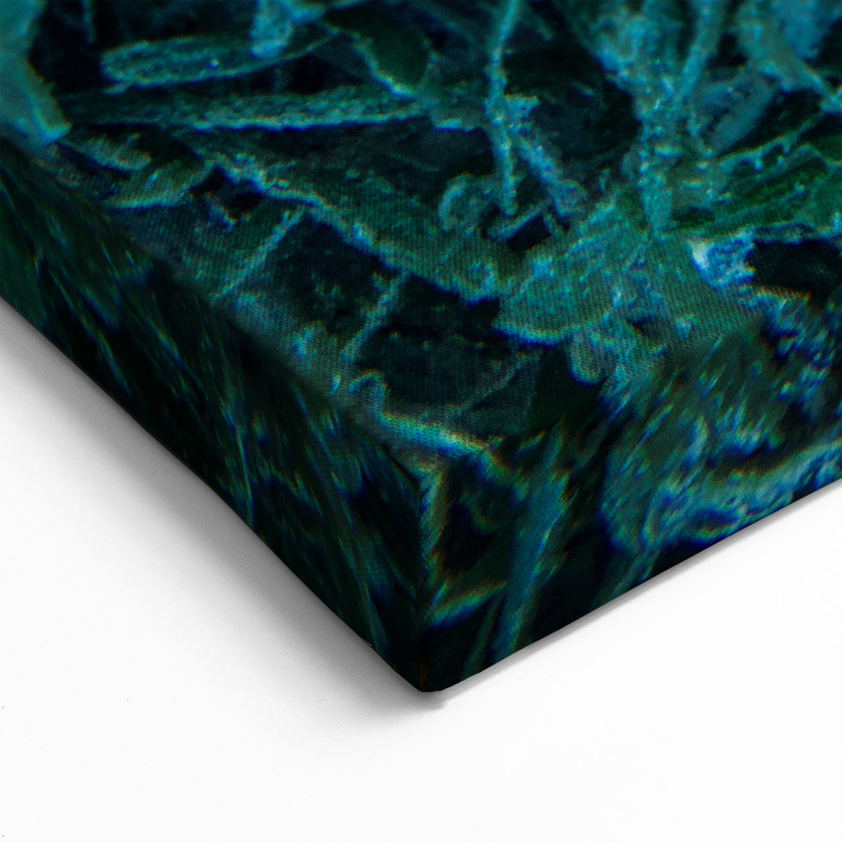 Tropical Island Art - Caribbean Starfish Print from Martinique Waters