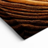 Timeless Circles: Tree Canvas Prints for Nature-Inspired Decor