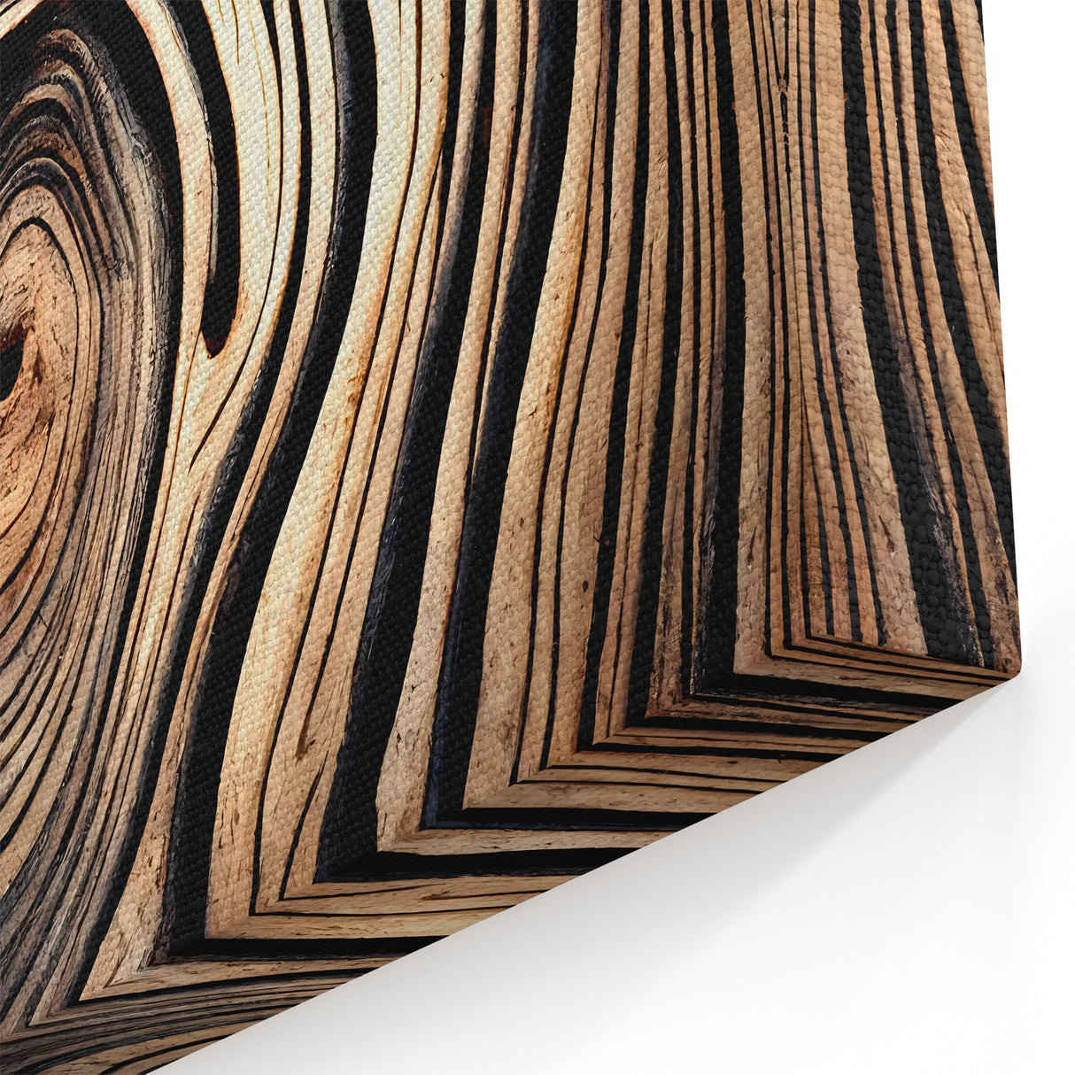 Mystical Tree Rings: Nature-Inspired Tree Photography for Wall Decor