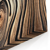 Mystical Tree Rings: Nature-Inspired Tree Photography for Wall Decor