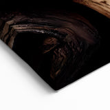 Mystical Tree Rings: Nature-Inspired Tree Photography for Wall Decor