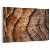 Cracked Tree Texture: Nature Wall Art for Elegant Home Interiors